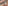 Anwendung von Retinal: Ein Leitfaden für Anfänger image