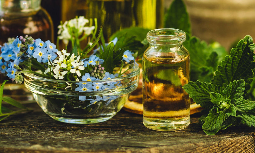 What is plant-based skin care? image