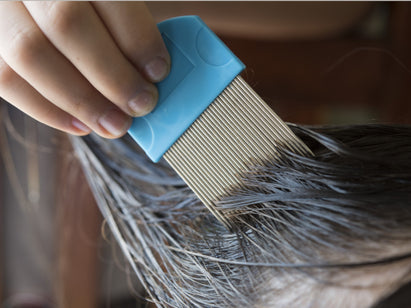 natural conditioner for head lice combing