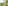 What makes Green People so green? image