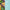 Thumbnail for Primer plano de lavender, rodajas de orange y hojas verdes. Texto: Base de mezcla de aceites naturales con patchouli, vetiver, lavender y orange. image