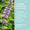 Green People purple flower with text highlighting a calming blend of patchouli, vetiver, lemongrass and lavender oils.