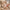 Thumbnail for Eine Person steckt die dermatologisch getestete Green People Tagescreme LSF 15 in eine beige Handtasche. image