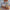 Thumbnail for  image