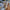 Thumbnail for  image