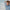 Thumbnail for  image