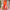Thumbnail for Person hält Green People Bio-Sonnenschutz-Set mit Sonnencreme LSF 30 und After-Sun in oranger Box, mit Rifffreundlich-Siegel. image