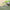 Thumbnail for  image