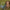 Thumbnail for  image