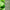 Thumbnail for Aufgeschnittenes Aloe-Vera-Blatt mit Gel und Hinweis auf die beruhigende Basis des duftfreien Deodorants von Green People. image