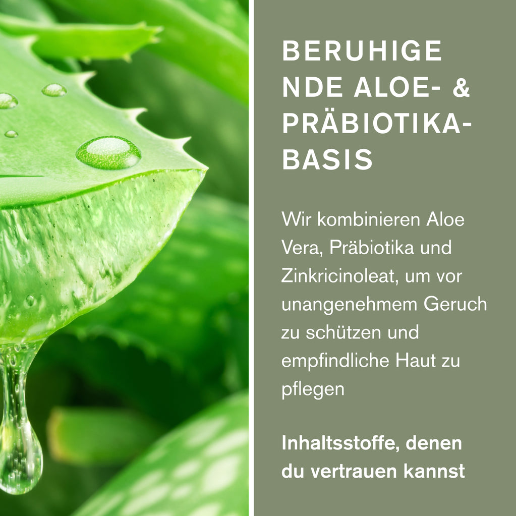 Aufgeschnittenes Aloe-Vera-Blatt mit Gel und Hinweis auf die beruhigende Basis des duftfreien Deodorants von Green People.
