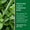 Mint leaves beside information about the soothing ingredients in Green People for Men No. 9 Mint & Prebiotics Deodorant.