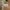Thumbnail for  image