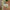 Thumbnail for  image