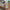Thumbnail for Hand hält weiße Pumpflasche Feuchtigkeitscreme mit silbernem Rand, schräg links, verschwommener grün-brauner Hintergrund. image