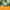 Thumbnail for Nahaufnahme von mehreren grün-weißen Edelweißblüten mit grünen Blättern und Textüberlagerung auf orangefarbenem Hintergrund. image