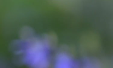 Natural and organic skin care image