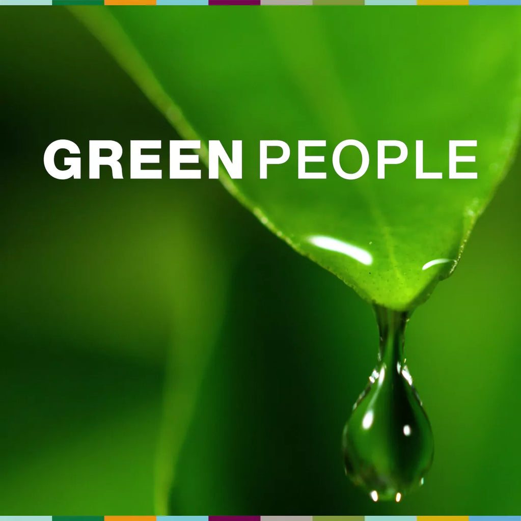 videowise-widget-6650a46865d6840029d9d065-4732006268973