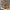 Thumbnail for Video-Widget image